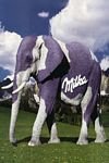 pic for Milka 